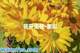 花开无忧-歌词