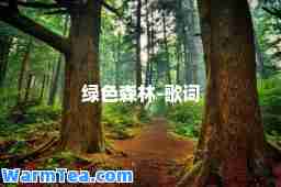 绿色森林-歌词