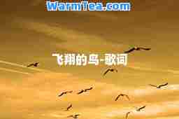 飞翔的鸟-歌词