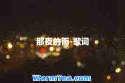 那夜的雨-歌词