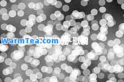 闪闪发光-歌词