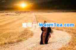 难得一见-歌词