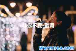非你不爱-歌词