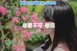 非爱不可-歌词 非爱不可-歌词