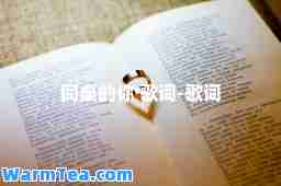 同桌的你 歌词-歌词