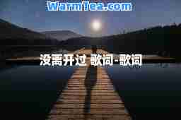 没离开过 歌词-歌词