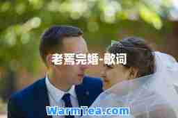 老蔫完婚-歌词