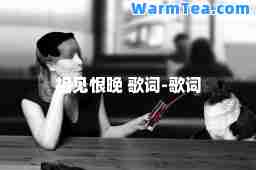 相见恨晚 歌词-歌词
