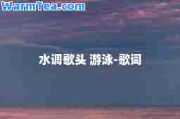 水调歌头 游泳-歌词
