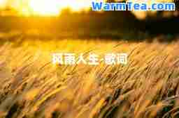 风雨人生-歌词