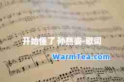 开始懂了 孙燕姿-歌词