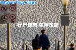 行尸走肉 生存本能