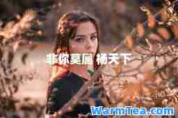 非你莫属 杨天下
