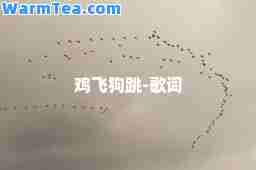 鸡飞狗跳-歌词