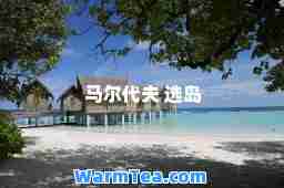 马尔代夫 选岛