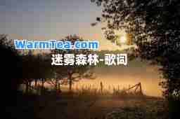 迷雾森林-歌词
