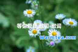 等你爱我 歌词-歌词