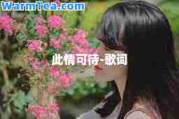 此情可待-歌词