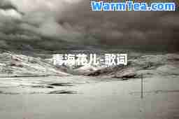 青海花儿-歌词