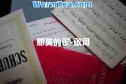 那英的歌-歌词