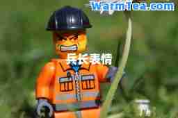 长表情