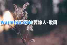 天要下雨 娘要嫁人-歌词