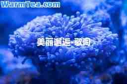 美丽邂逅-歌词