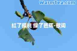 红了樱桃 绿了芭蕉-歌词