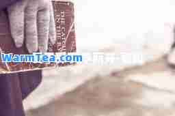 爱不释手 李丽芬-歌词