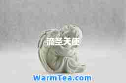 流圣天使