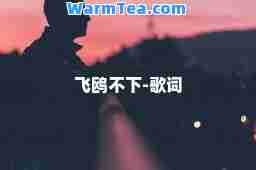 飞鸥不下-歌词