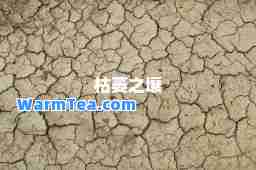 枯萎之壤