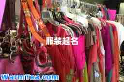 服装起名