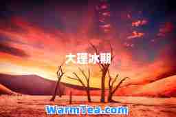 大理冰期