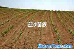 岜沙苗族
