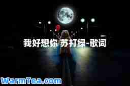 我好想你 苏打绿-歌词