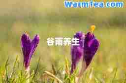 谷雨养生