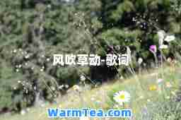 风吹草动-歌词