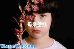 母亲岳红
