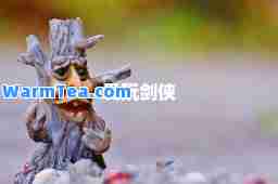 爱玩剑侠