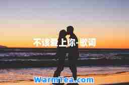 不该爱上你-歌词