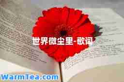 世界微尘里-歌词