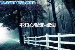 不知心恨谁-歌词