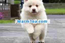 开心一笑 经典笑话