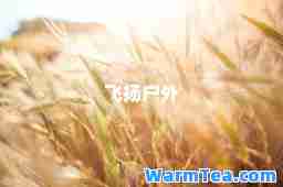 飞扬户外