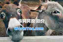东阿阿胶 涨价