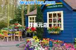 开两元店