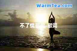 不了情歌词-歌词