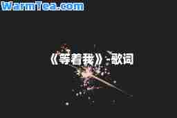 《等着我》-歌词