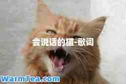 会说话的猫-歌词
